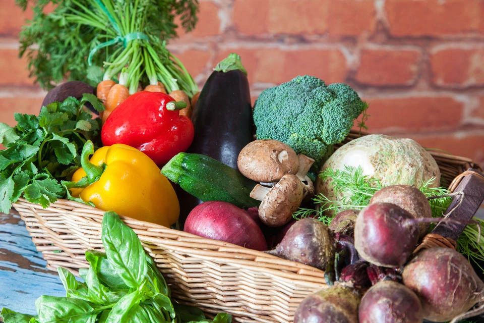 Axis Natural Food, Ltd Supplements, Natural and Organic Foods